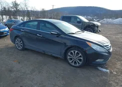 5NPEC4AC1EH911557: 44375308