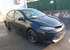 2T1BURHE0JC013100: 44376071