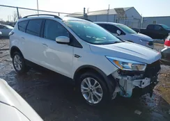 1FMCU0GD3JUD06691: 44376343