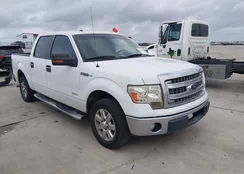 1FTFW1CTXDKD68362: 44376424