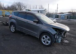 1FMCU9GX5EUB53574: 44376454