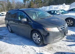 5FNRL5H60EB041547: 44375857