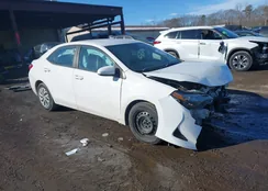 2T1BURHE7JC024224: 44376690