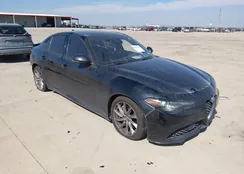 ZARFAMAN3N7655489: 44377982