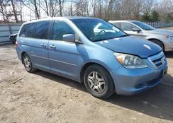 5FNRL38477B037484: 44377536