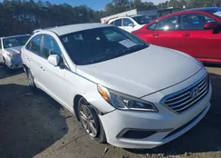 5NPE24AF9HH552931: 44377700