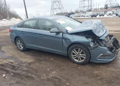 5NPE24AF7GH394975: 44378945