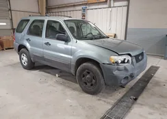 1FMYU02Z95KB12256: 44379051