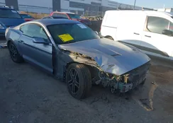 1FA6P8TH1L5134809: 44379186