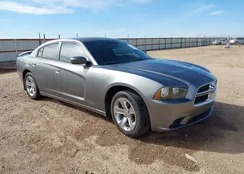 2C3CDXBG5CH260242: 44379433