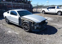 1ZVBP8AM0D5224931: 44378659