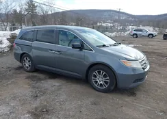 5FNRL5H60BB050406: 44380077