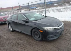 2HGFC2F59HH525678: 44380431