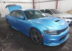 2C3CDXGJ7JH284253: 44379713