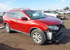 5N1AT2MT4EC865969: 44381151