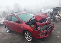 1FMCU0J96FUB24446: 44381380