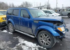 1D4PU5GK1AW108281: 44381464