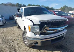 1FTFX1CF0EFC01199: 44381566