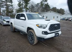 3TMCZ5AN9LM331171: 44382971