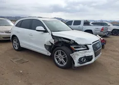 WA1L2AFP4GA092536: 44383163