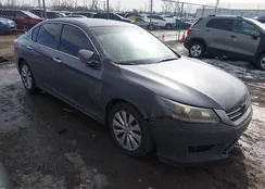 1HGCR2F86DA009976: 44383295