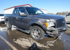 1FTFX1EF8EKD56670: 44383371