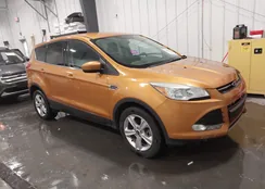 1FMCU9GX9GUB15011: 44382511