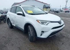 JTMRFREV0HD209497: 44382793