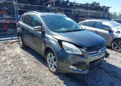 1FMCU9J90GUC79807: 44382882