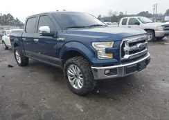 1FTEW1CF1FKD75662: 44384217