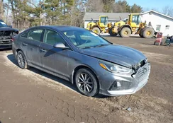 5NPE24AF6JH701169: 44384258