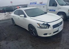 1N4AA5AP6EC498890: 44384404