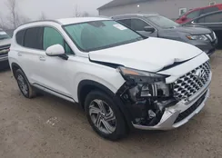 5NMS64AJ9NH412317: 44383543