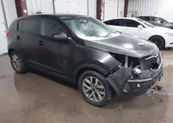 KNDPB3AC3E7565148: 44383566