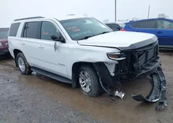 1GNSKBKC5JR330095: 44383648