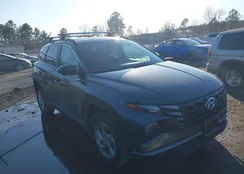 5NMJBCAE3PH219796: 44383868