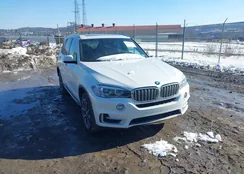 5UXKR0C31H0V70006: 44384995