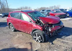 JTMRFREV1JD256527: 44385062