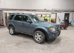 1FMCU9DG4BKC08219: 44385074