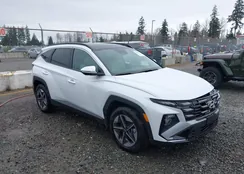 KM8JCDD14SU394969: 44385112