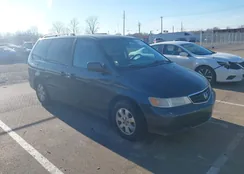 5FNRL18774B010683: 44385116