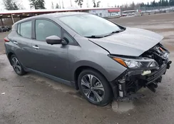 1N4BZ1DP1LC308007: 44385161