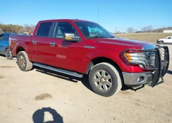 1FTFW1EF9DFB08177: 44384566