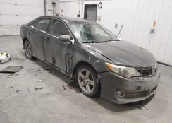 4T1BF1FK4CU028172: 44384789