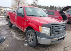 1FTMF1CM9BKD83254: 44385890