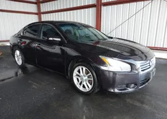 1N4AA5AP1EC462301: 44386099