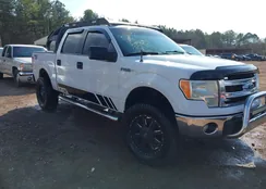 1FTFW1EF3DKF64800: 44386270