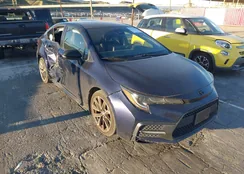 JTDS4MCE0NJ081174: 44385572