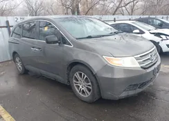 5FNRL5H62BB053534: 44385606