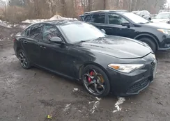 ZARFAEENXJ7593311: 44385630